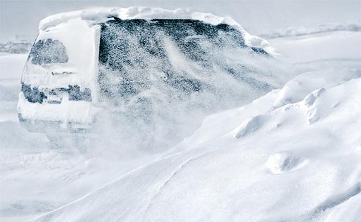 Фото c сайта waei.org