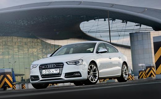 Фото автора и с сайта quto.ru