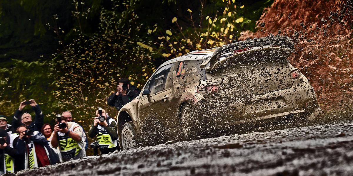 Фото команд-участниц и Red Bull