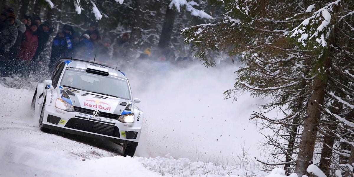 Фото команд-участниц и Red Bull