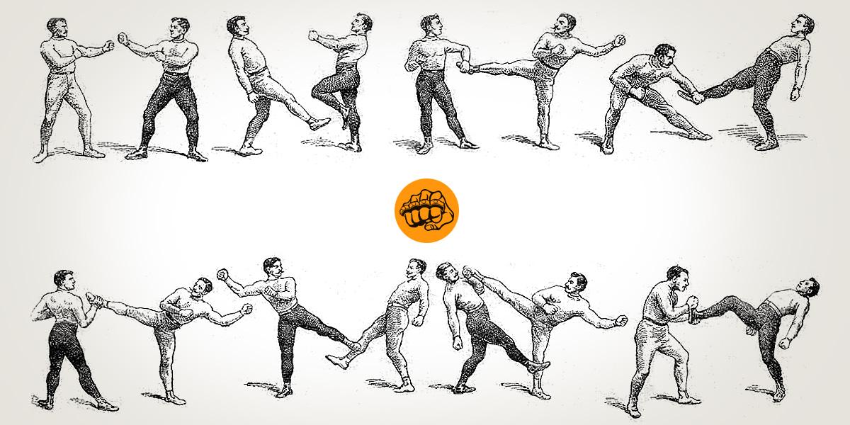 Фото компаний-производителей