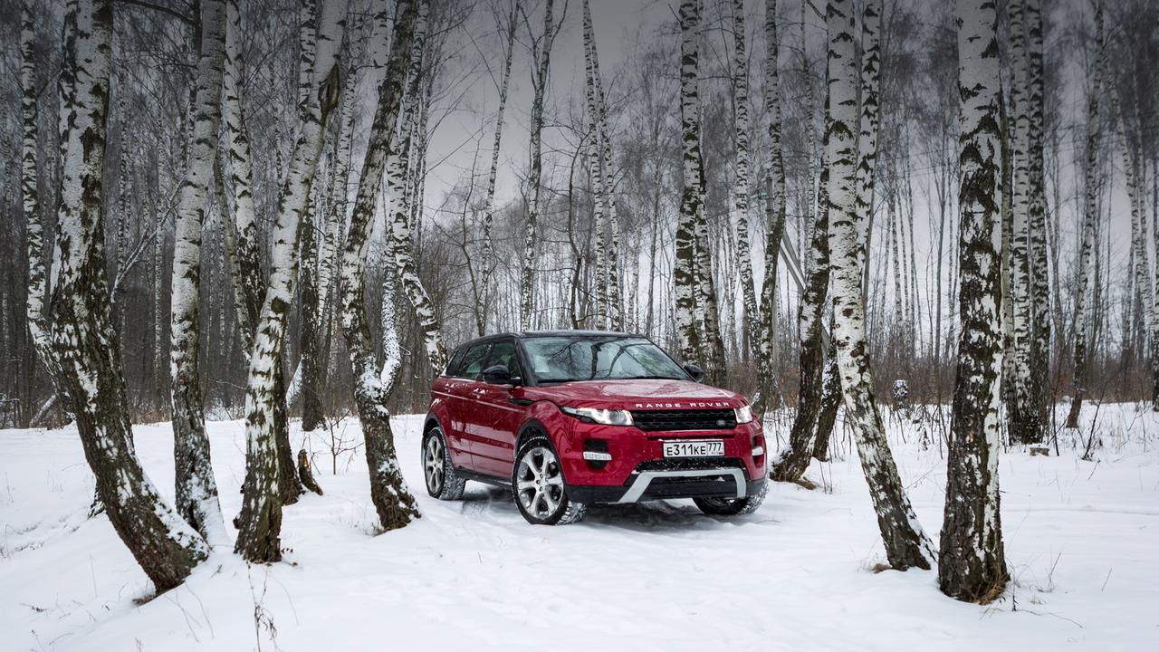 Вечный выбор