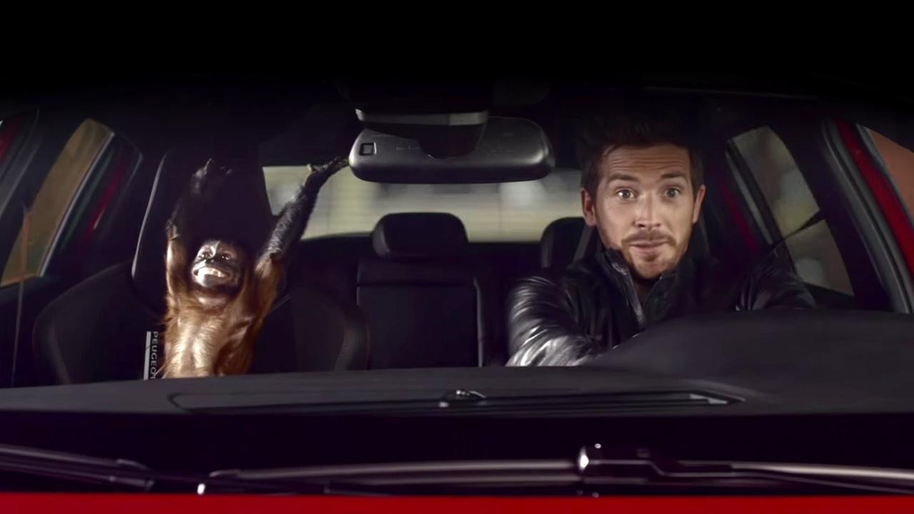 Обезьянка и собачка