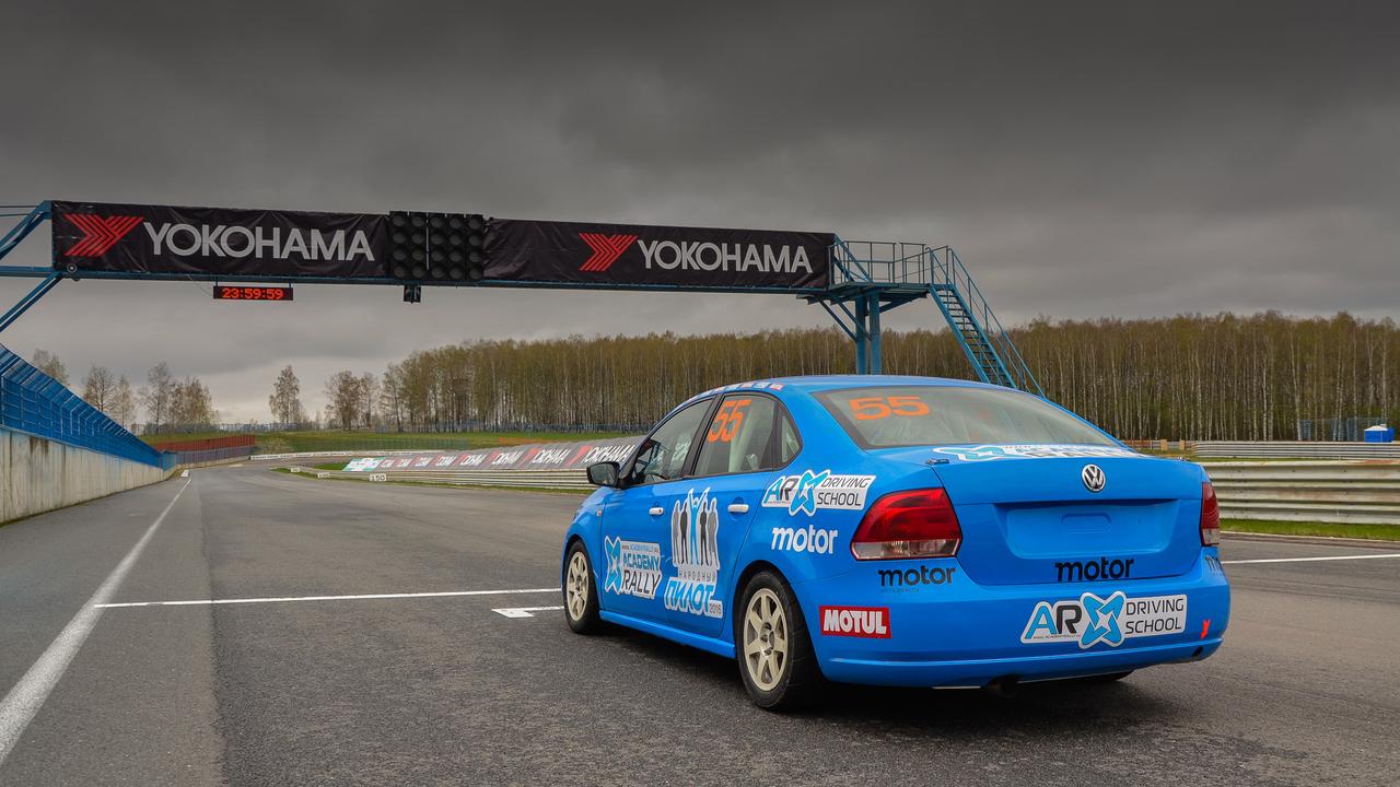 Темная лошадка