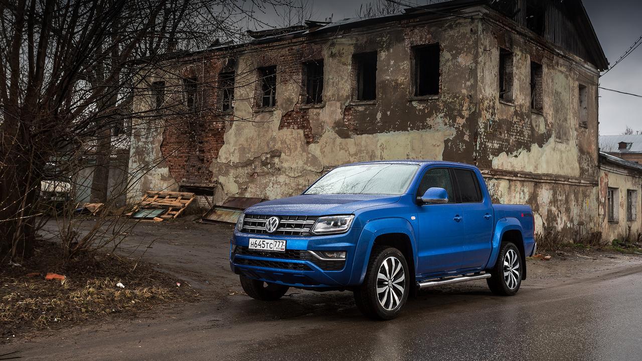 Волк одомашненный