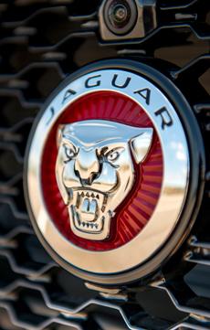 Органично спрятать радар адаптивного круиз-контроля не получилась — машины с такой опцией можно отличить по глянцевому прямоугольнику вокруг логотипа.