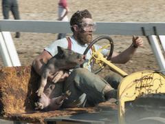 [Как Ниф-Ниф, Нуф-Нуф и Наф-Наф стали спортсменами](https://motor.ru.net/stories/pigdelight.htm)