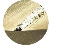 Thrust SSC преодолевает звуковой барьер.