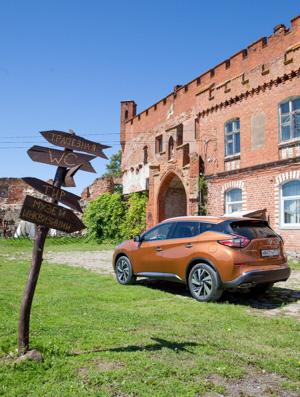 Рыжепланетянин