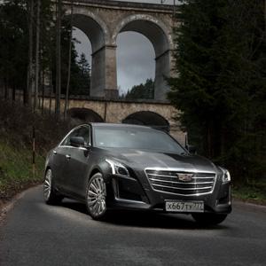 Ассимиляция