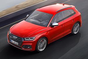 Для тех, кому хочется и Q5, и эмоций, и чтобы все это было в одном автомобиле, у Audi приготовлен 354-сильный SQ5 следующего поколения, набирающий сотню за 5,4 секунды. Как он едет — пока не знаем, сколько стоит — тоже. Зато известно, что российские продажи [начнутся](https://motor.ru.net/news/2017/01/11/sq5rus/) когда-нибудь летом.