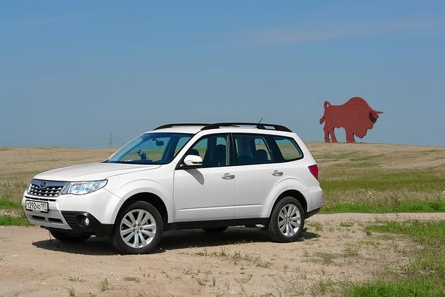 Forester чем-то похож на обитающих в Белоруссии зубров: взгляд исподлобья, крутой «лоб», мощный «загривок», небольшие складочки на «бедрах». Весьма мужественный внешний вид.