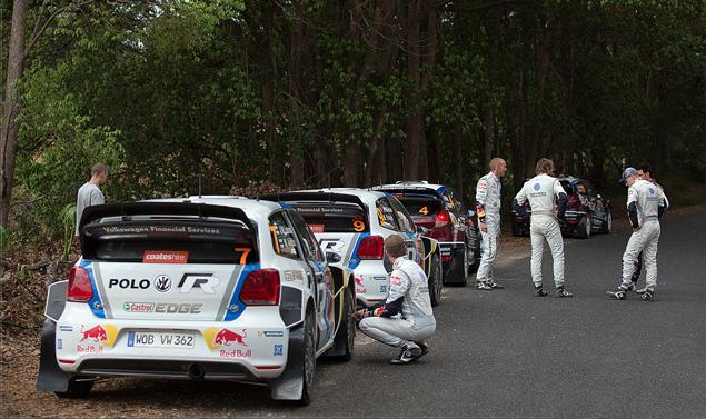 Кенгуру и коалы