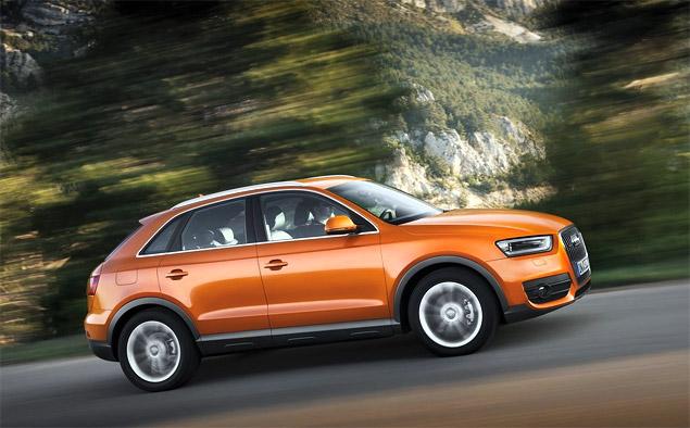 Как мышь и кактус