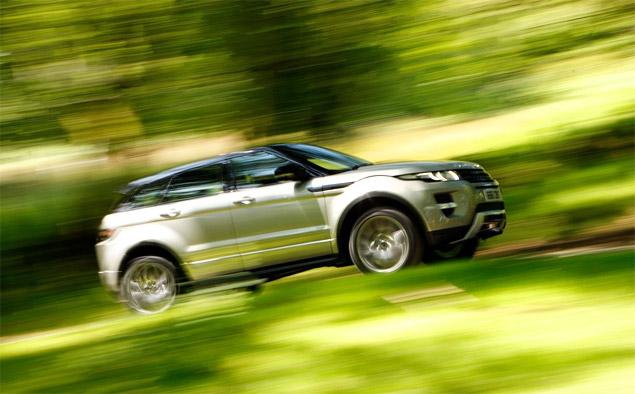 Как мышь и кактус