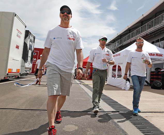 Диспозиция