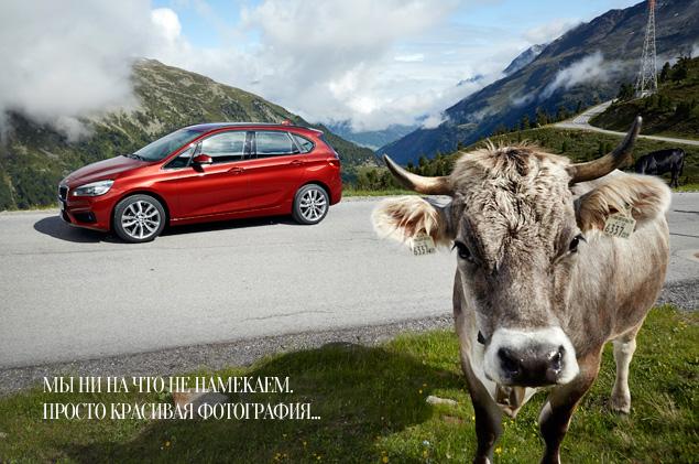 На трех китах и черепахе