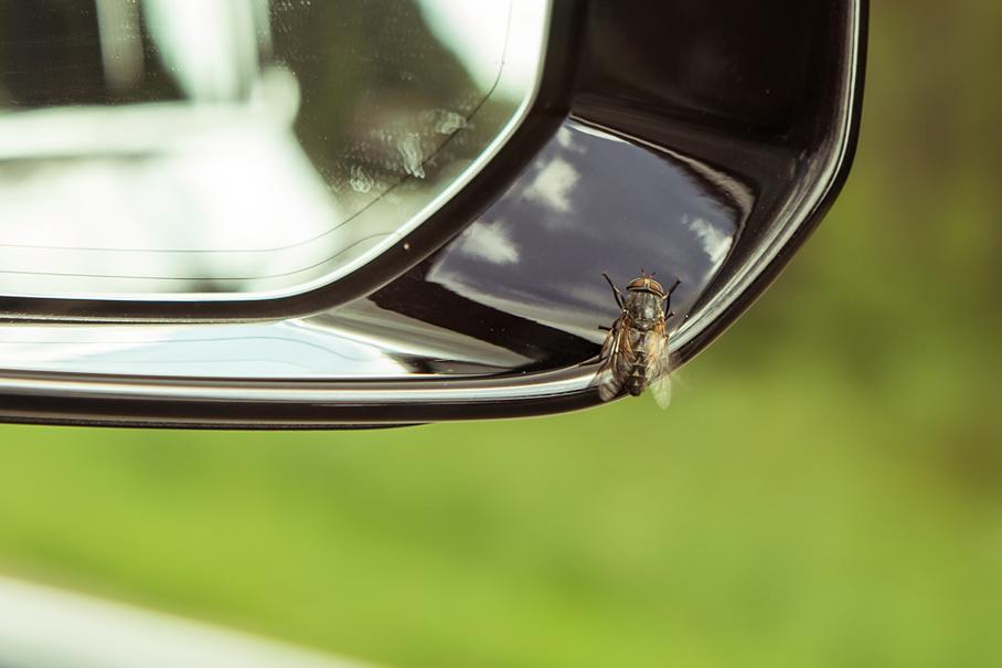 Игорь, если ты читаешь эту статью, позвони...