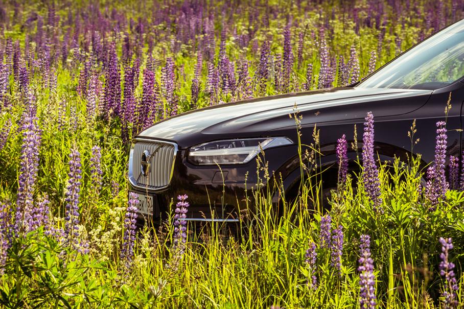 Хрусталя в машину