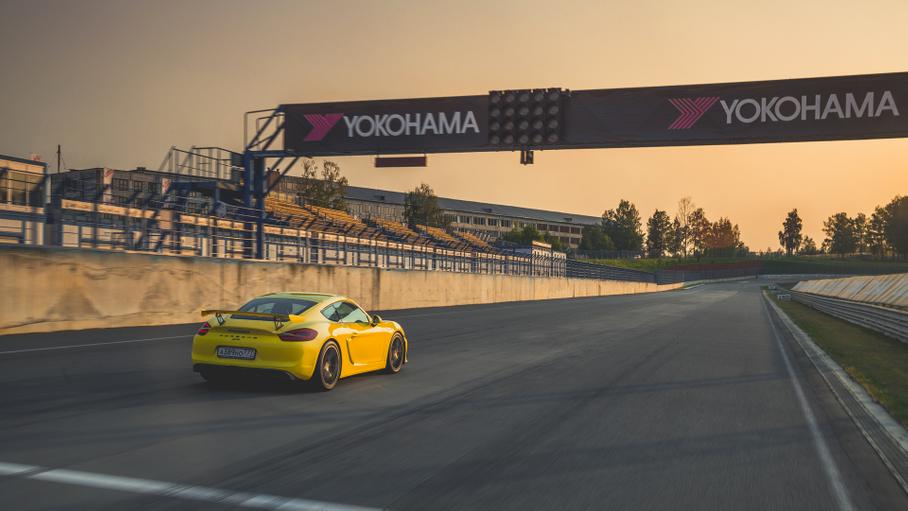 Крокодилы --не летают