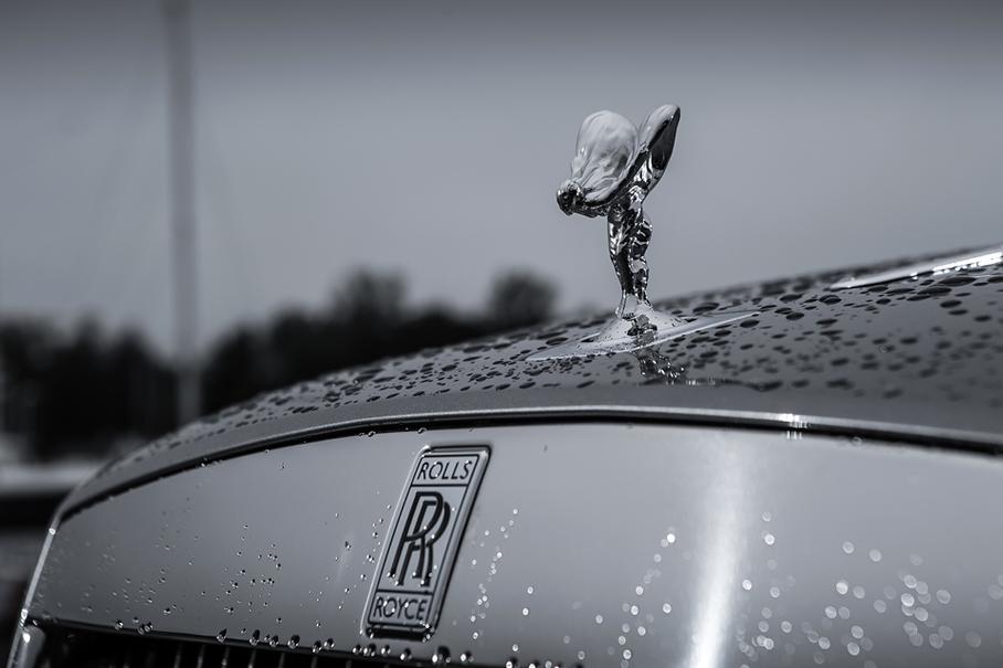 Птица тройка