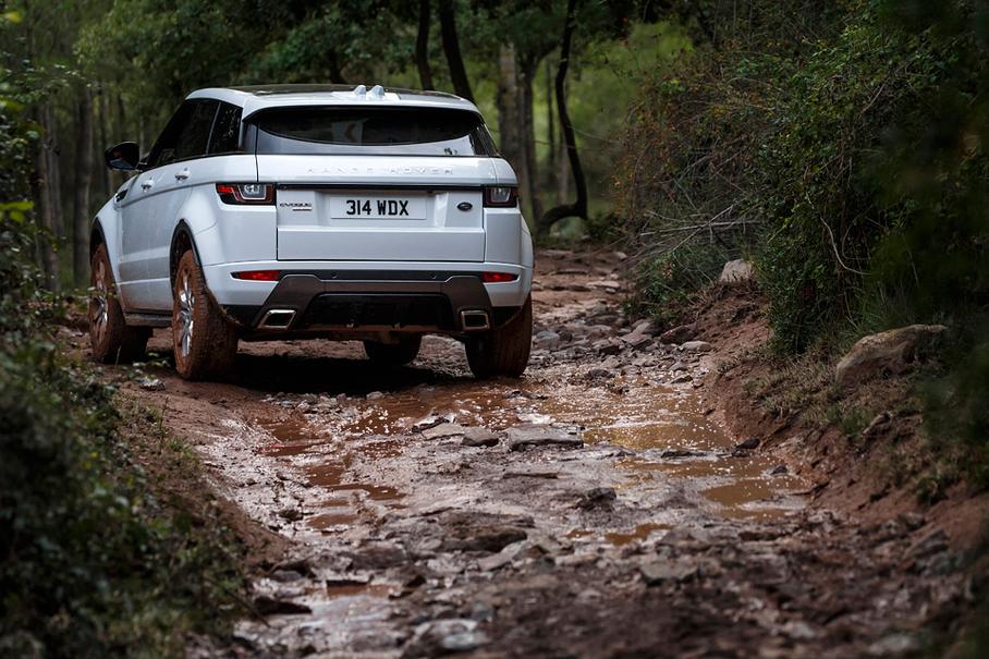 Аутлет «Черная грязь»