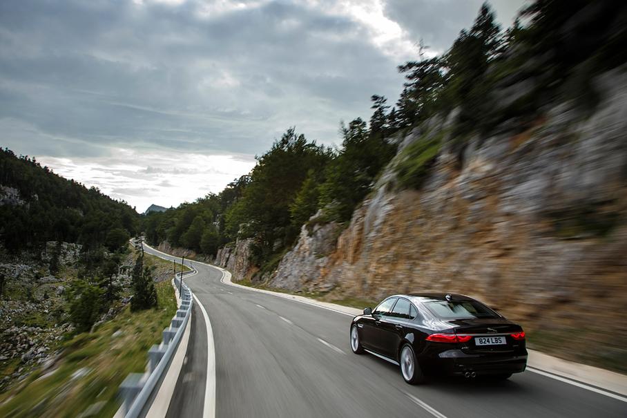 Зимняя вишня