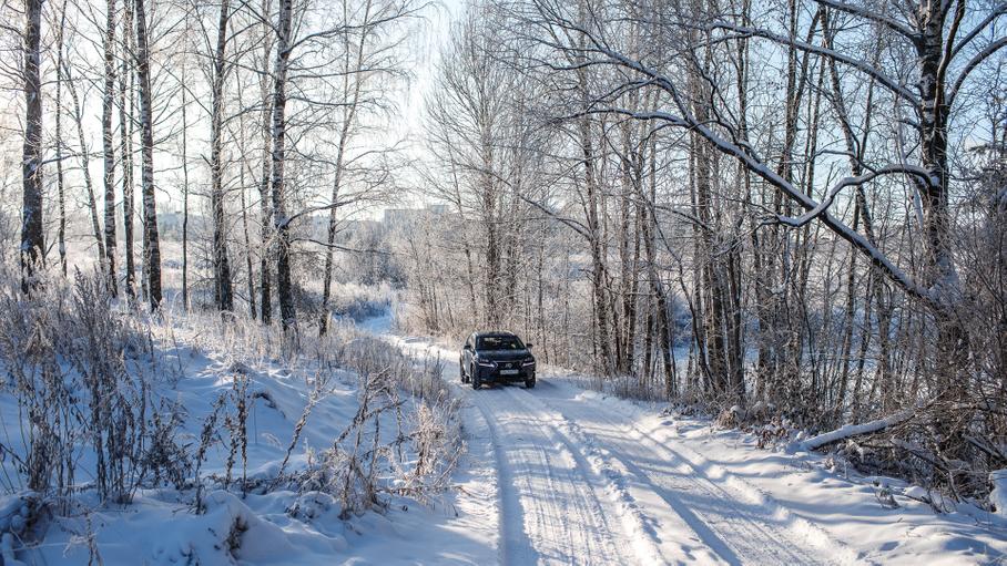 Лицо со шрамом