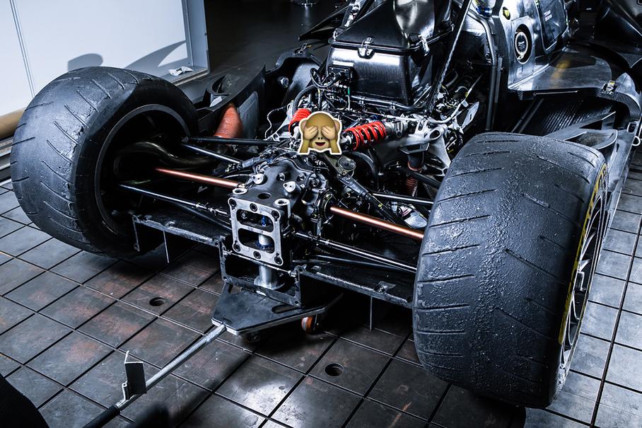 На этой фотографии есть кое-что, чего нельзя видеть конкурентам. Они и не увидят – спасибо обезьянке.