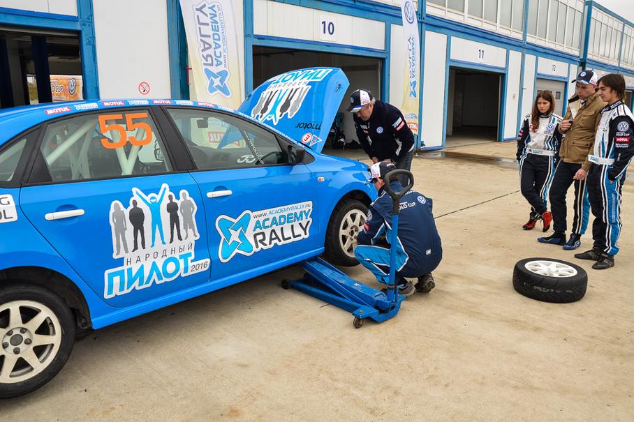 Темная лошадка