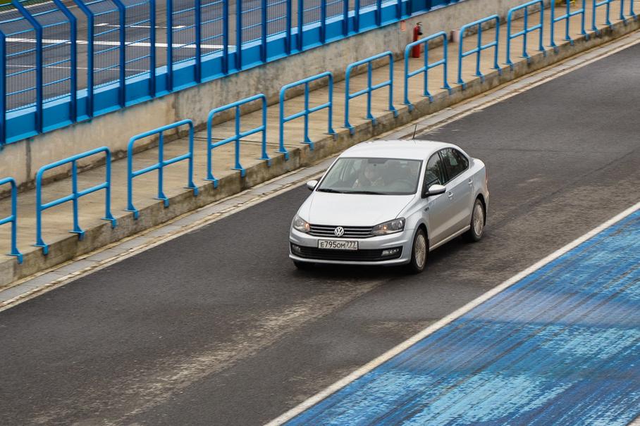 Темная лошадка