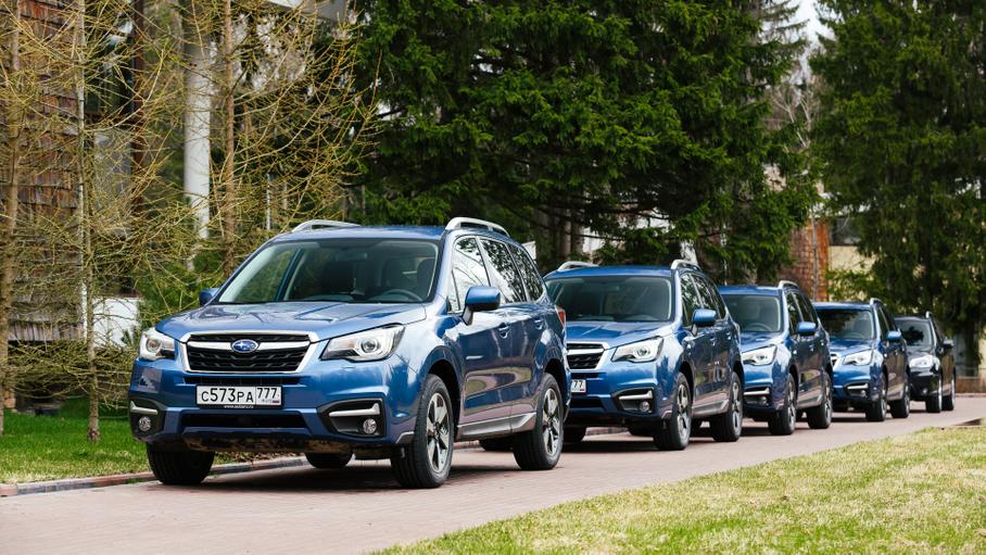 Операция «Лесополоса»