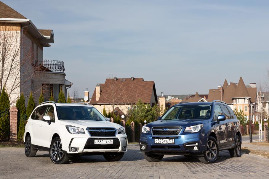 Операция «Лесополоса»