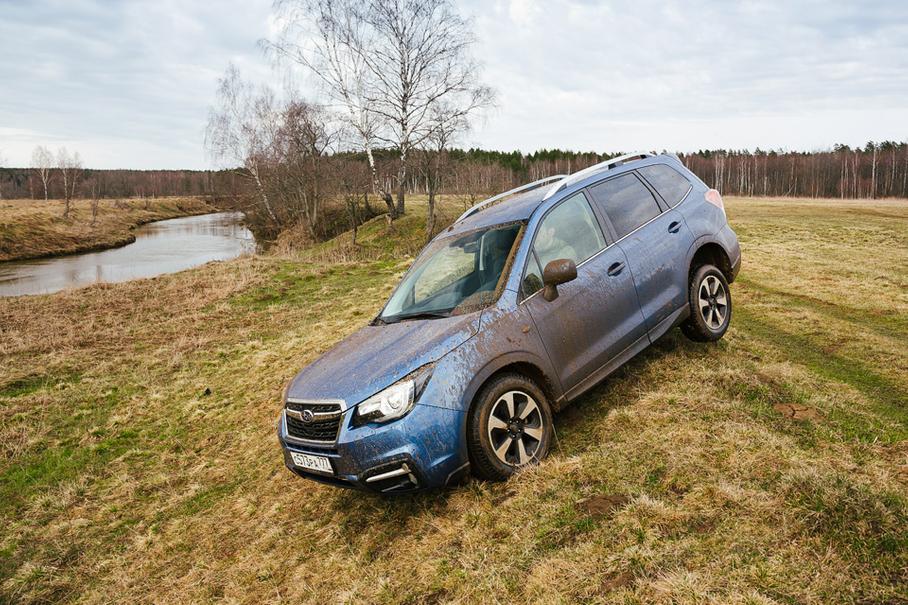 Операция «Лесополоса»