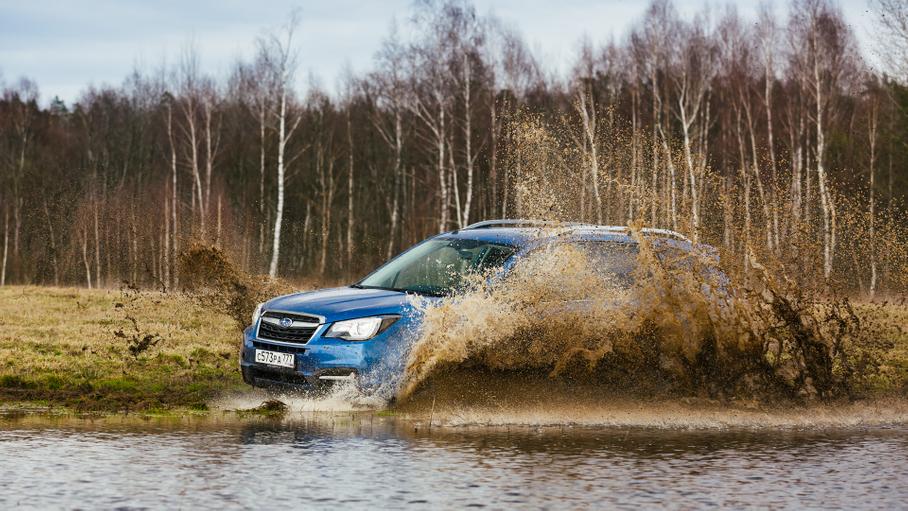 Операция «Лесополоса»