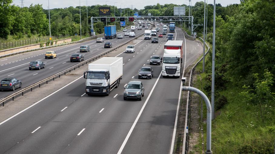 Естественный разум