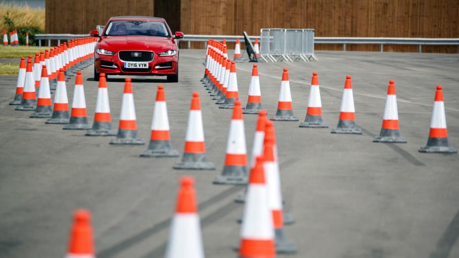 Естественный разум