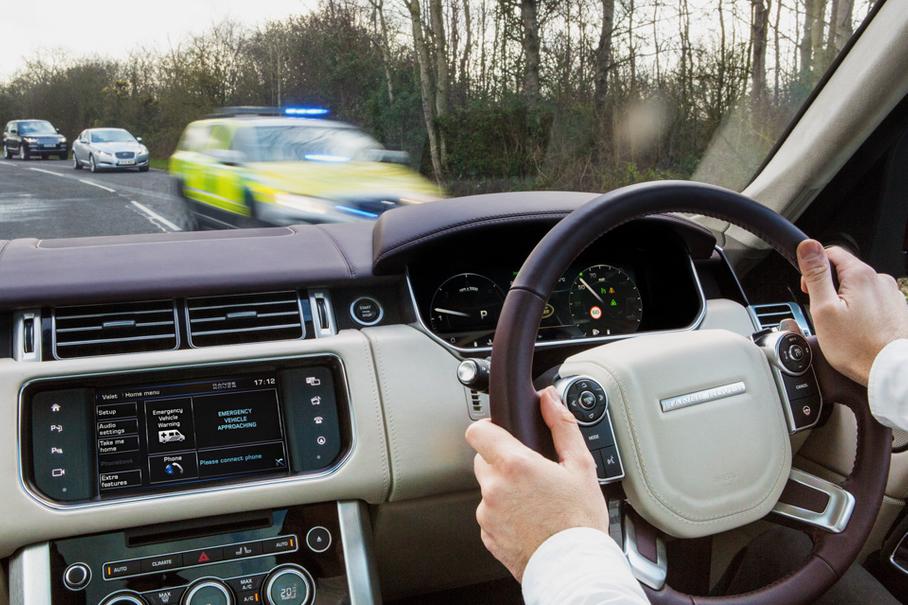 Естественный разум