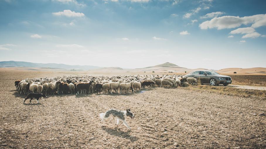 Дедушка с характером