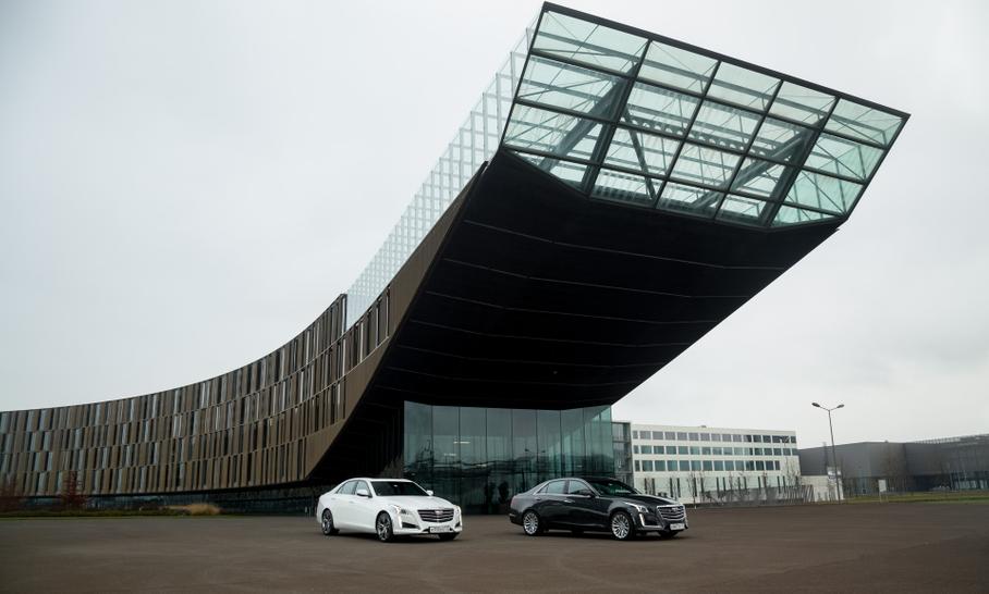 Ассимиляция