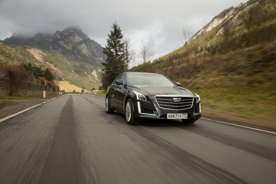 Ассимиляция