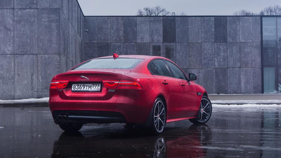 Красота. Обманчива?