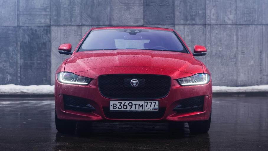 Красота. Обманчива?