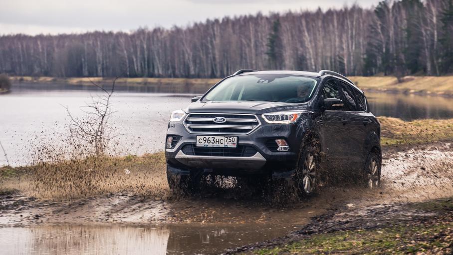 Утки напролет