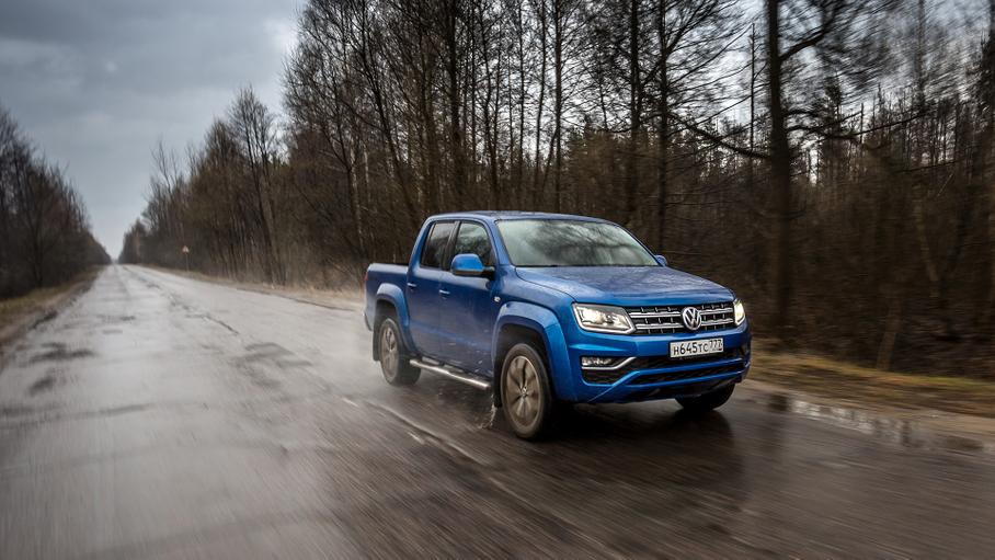 Волк одомашненный