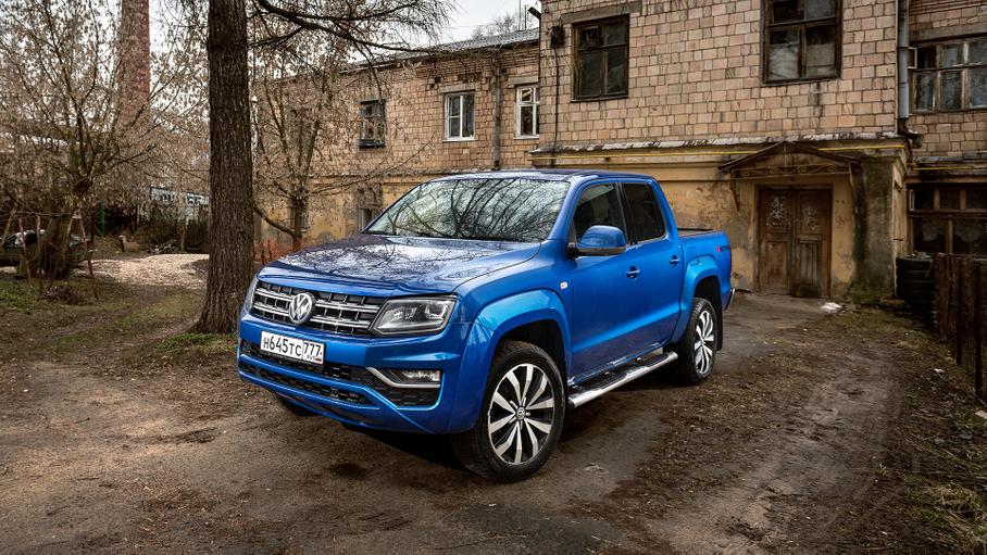 Волк одомашненный