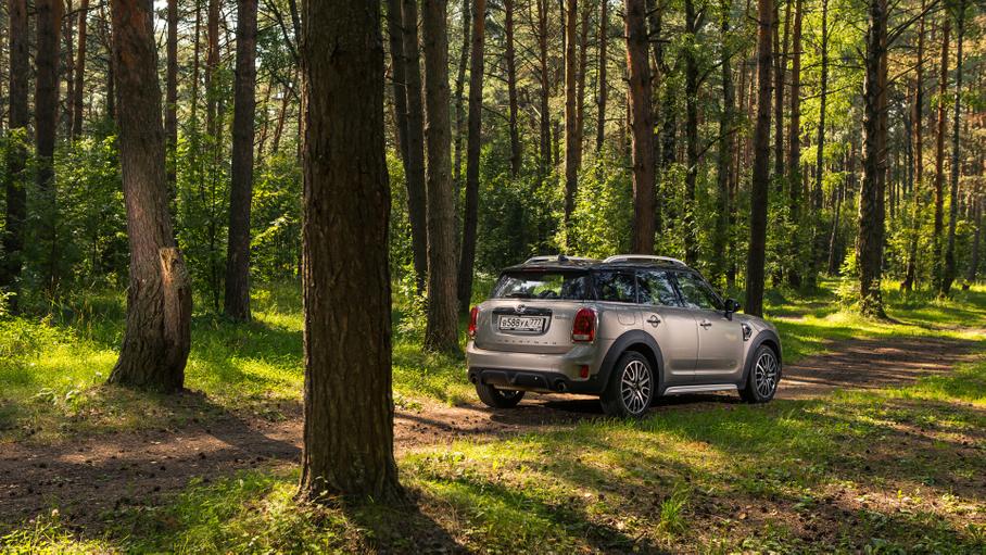 Обретая гармонию