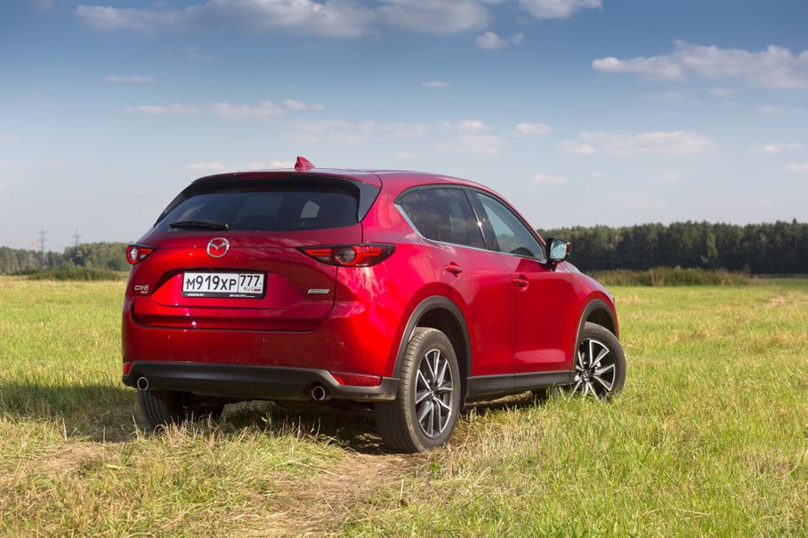 Как с человеком