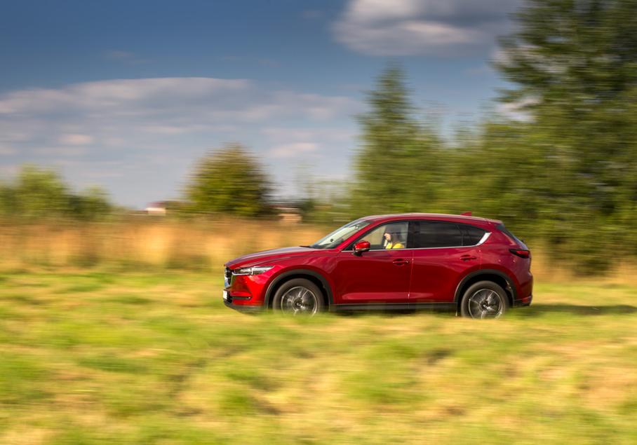 Давай жить вместе