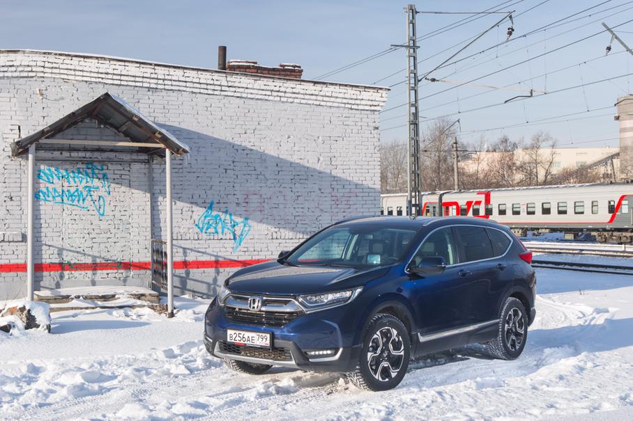 В поисках внимания